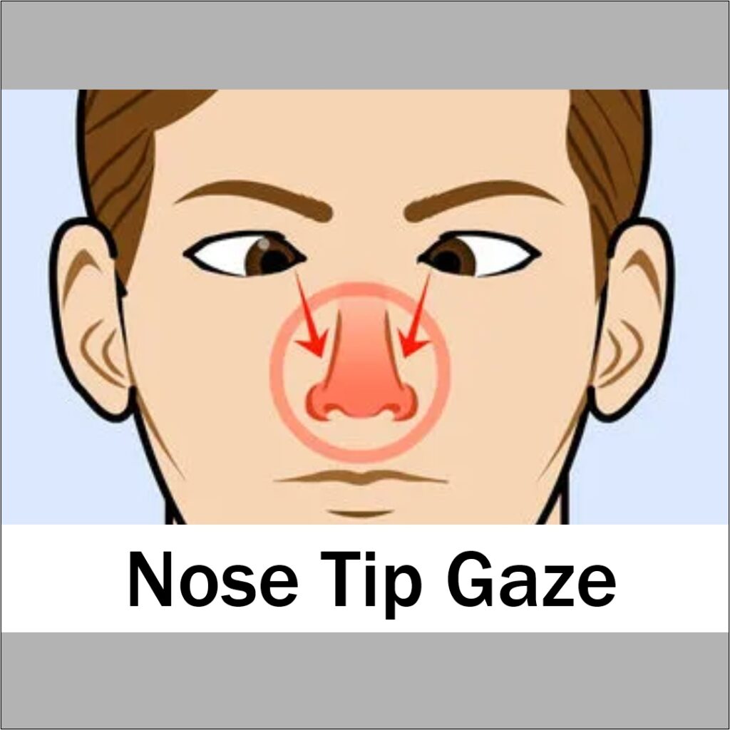 nose tip