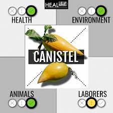 Health benefits of Canistel