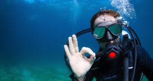 How to start scuba diving?