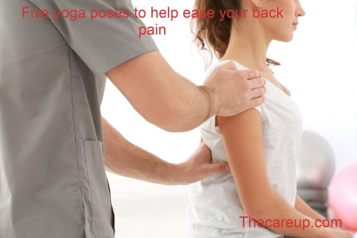 Five yoga poses to help ease your back pain