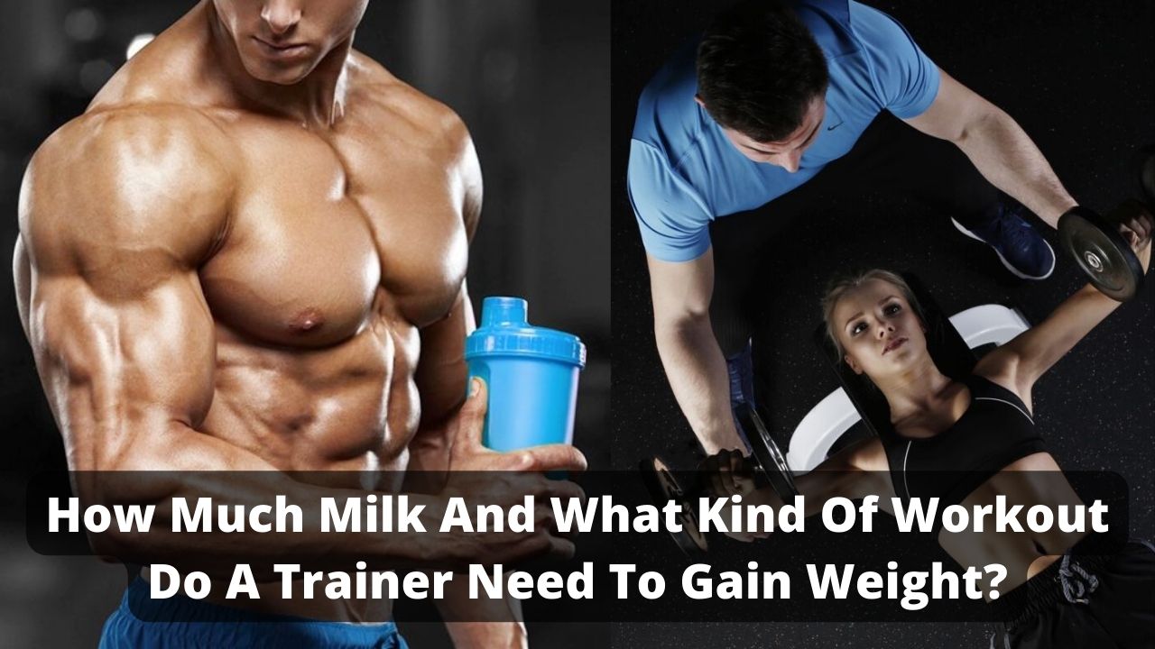 How Much Milk And What Kind Of Workout Do A Trainer Need To Gain Weight?