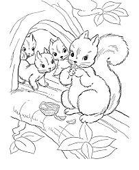 Lovely Squirrel and Sheep coloring pages in the world