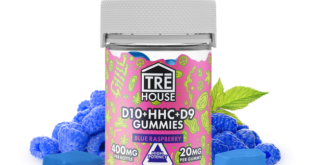 Why Are HHC Gummies Getting Popularity Over CBD Gummies?