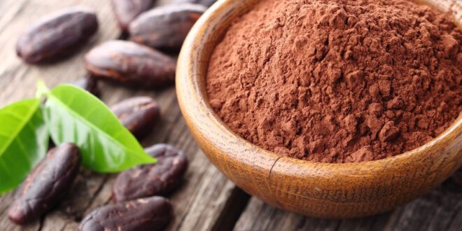 Organic cacao powder